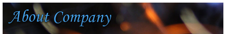 About Company
